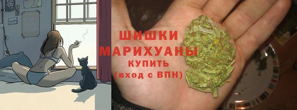 твердый Алзамай